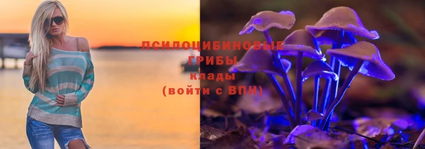 шишки Алексин