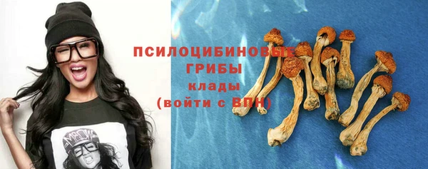 прущие крисы Алексеевка