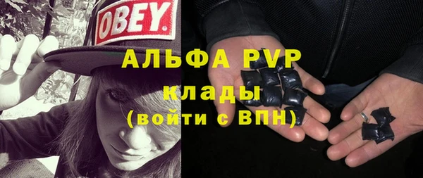 шишки Алексин