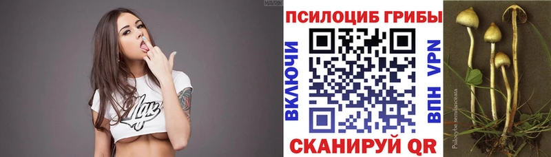 Псилоцибиновые грибы MAGIC MUSHROOMS  hydra онион  Осташков 